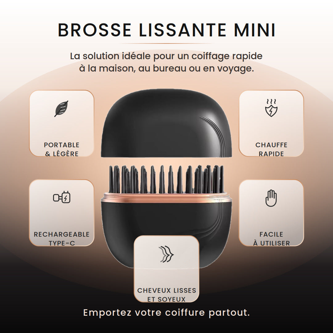 Mini Lisseur Portable