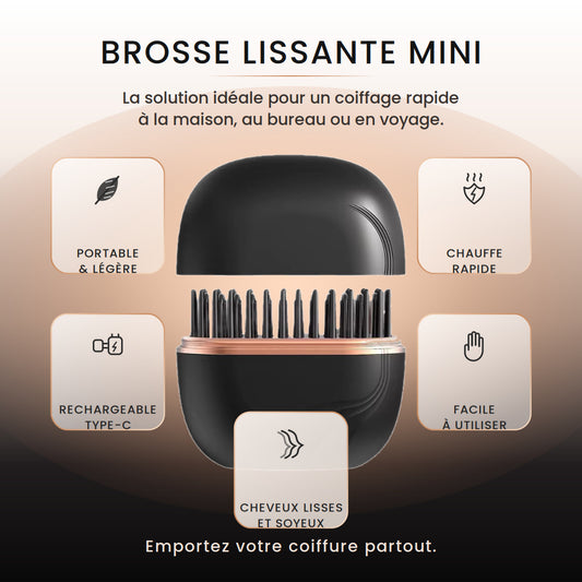 Mini Lisseur Portable