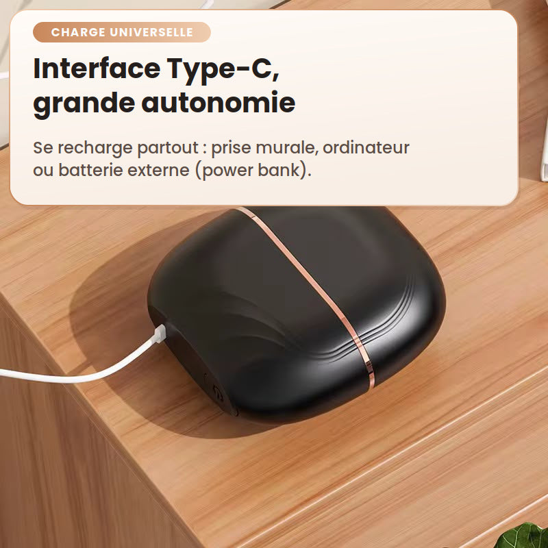 Mini Lisseur Portable
